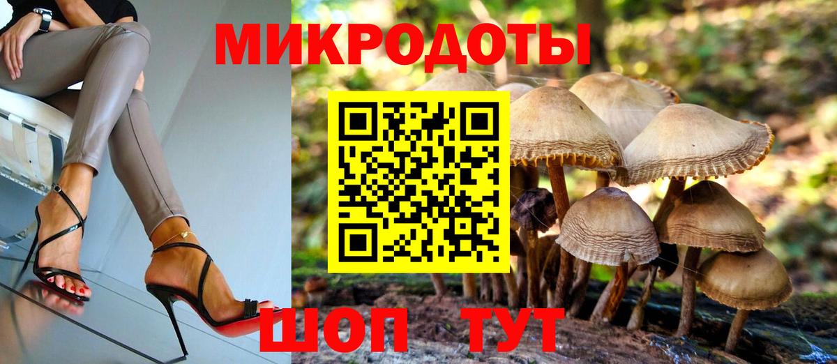 Псилоцибиновые грибы Psilocybe Заринск